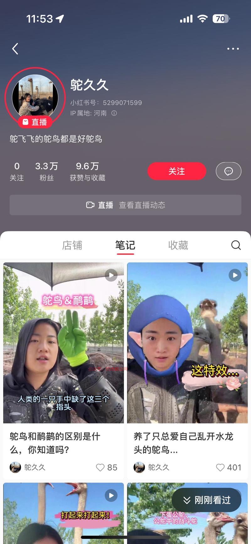 小红书：稀有动物吸睛…#情报-搞钱情报论坛-网创交流-优选副业网